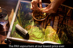 Sale on Pax3 devices for Autumn Cosy Season