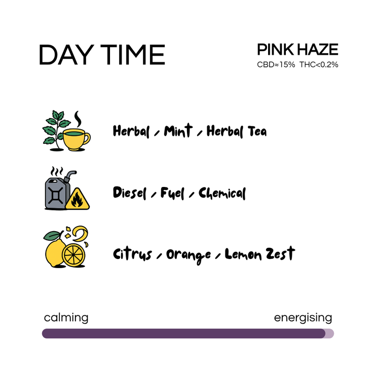 SUN SEA - Day Time STRAIN - Pink Haze (3.5G)