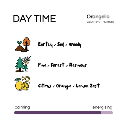 SUN SEA - Day Time STRAIN - Orangello (3.5G)