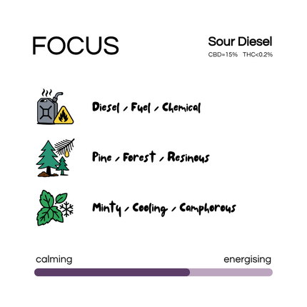 SUN SEA - FOCUS STRAIN - SOUR DIESEL (3.5g)