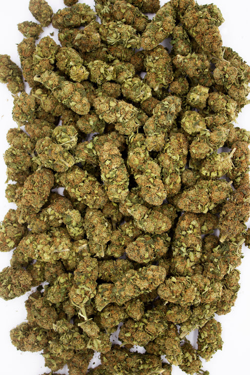 CBWEED BubbleGum CBD Buds (CBD 10%) - 2g/5g