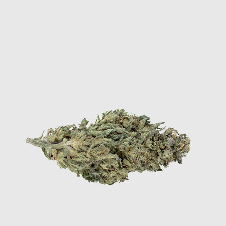 CBWEED White Widow CBD Buds (~10% CBD) - 2g/5g