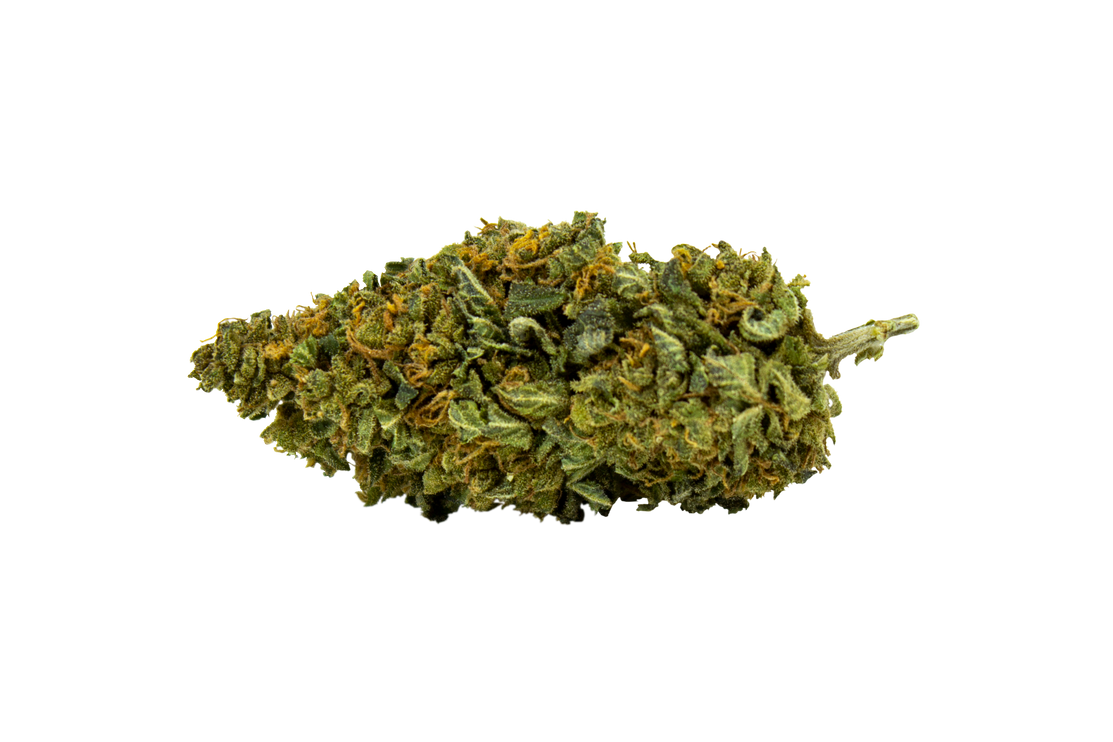 CBWEED Mango Haze CBD Buds - (~10% CBD) - 2g/5g