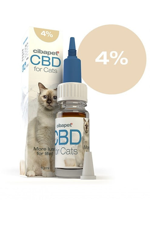 CBD Oil for Cats 4% - Cibapet by Cibdol